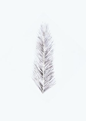 White Palm Leaf