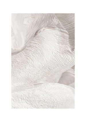 White Petals 21x30