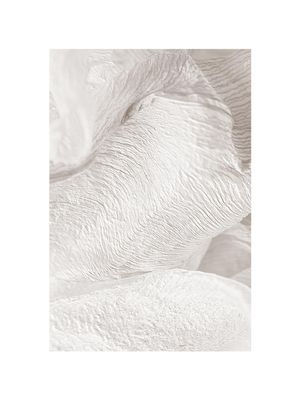 White Petals 30x40