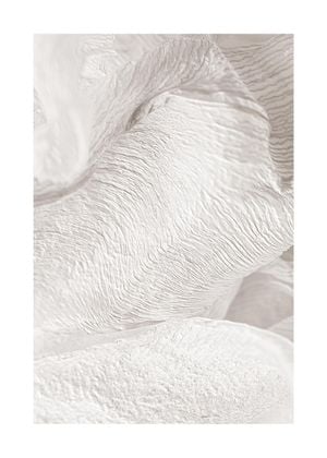 White Petals