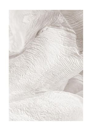 White Petals 70x100