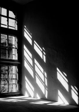 Window Reflection 21x30