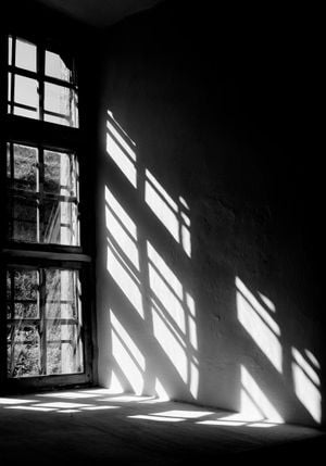 Window Reflection 70x100