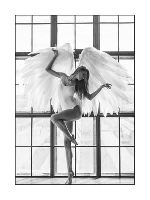 Wings On 30x40