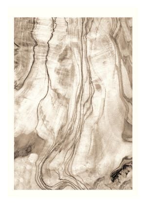 Wood Texture 21x30