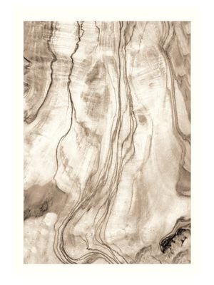 Wood Texture 30x40