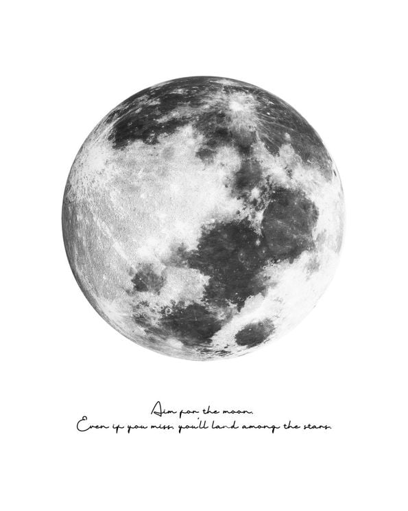 Aim For The Moon