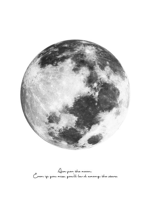 Aim For The Moon