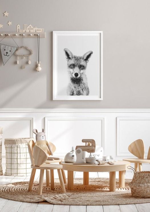 Animal Front Fox