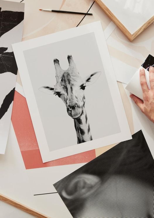Animal Front Giraffe
