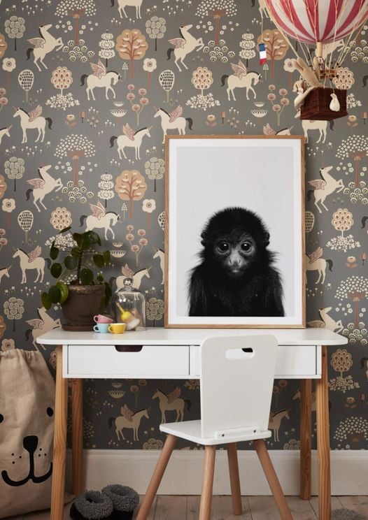 Animal Front Monkey