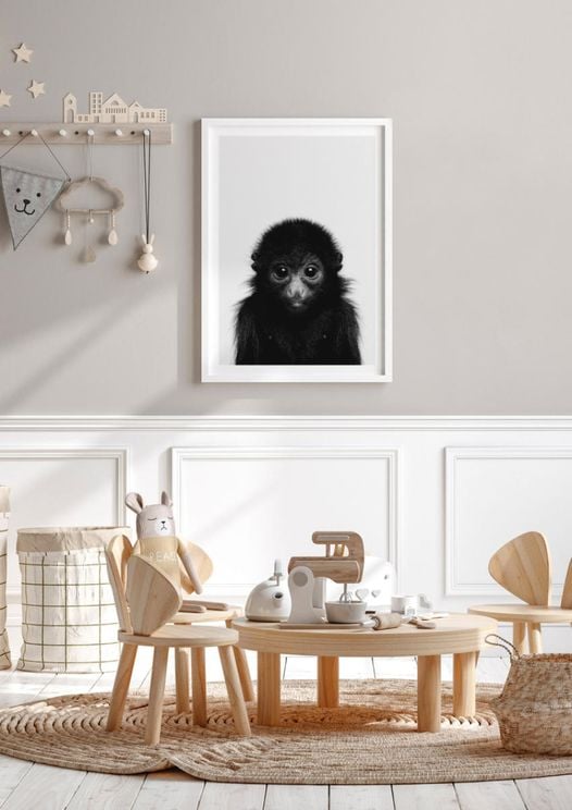 Animal Front Monkey