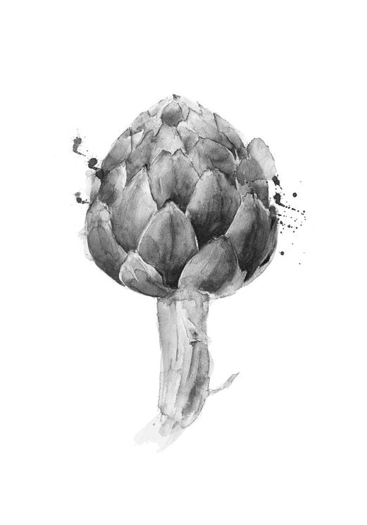Artichoke Drawing