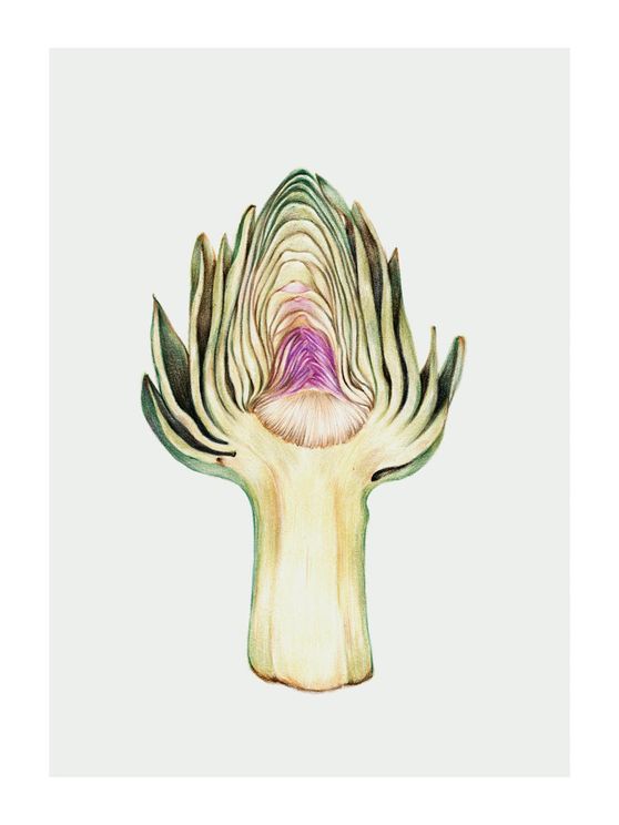 Artichoke In Watercolor