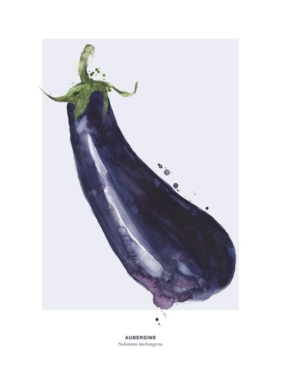 Aubergine