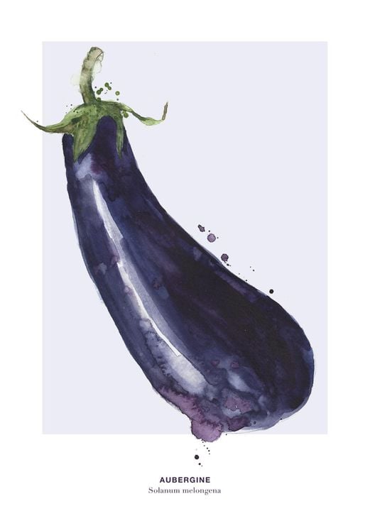 Aubergine