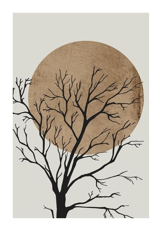 Autumn Sun