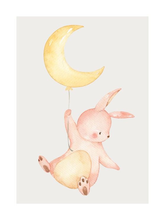 Baby Rabbit