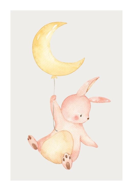 Baby Rabbit