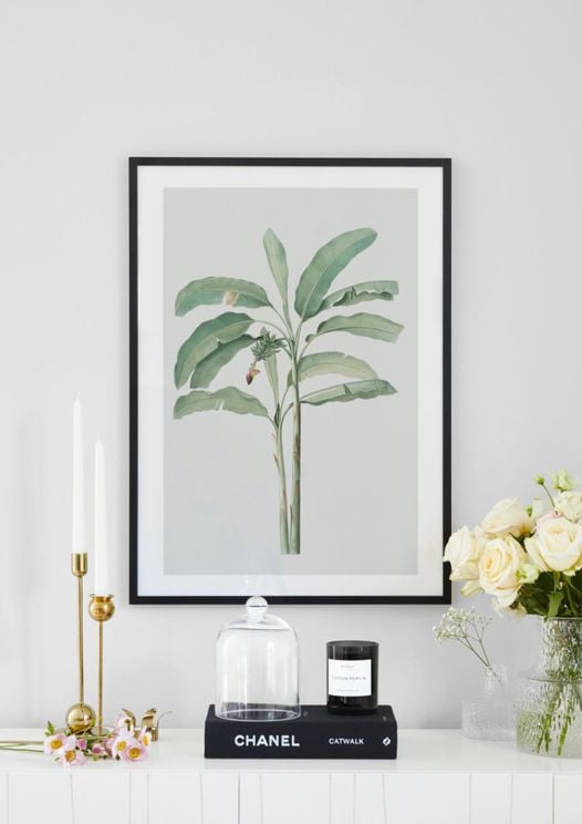 Banana Tree