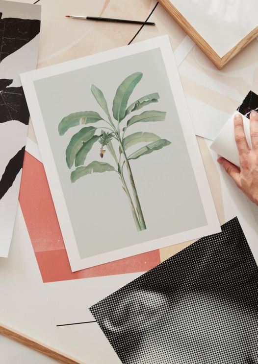 Banana Tree