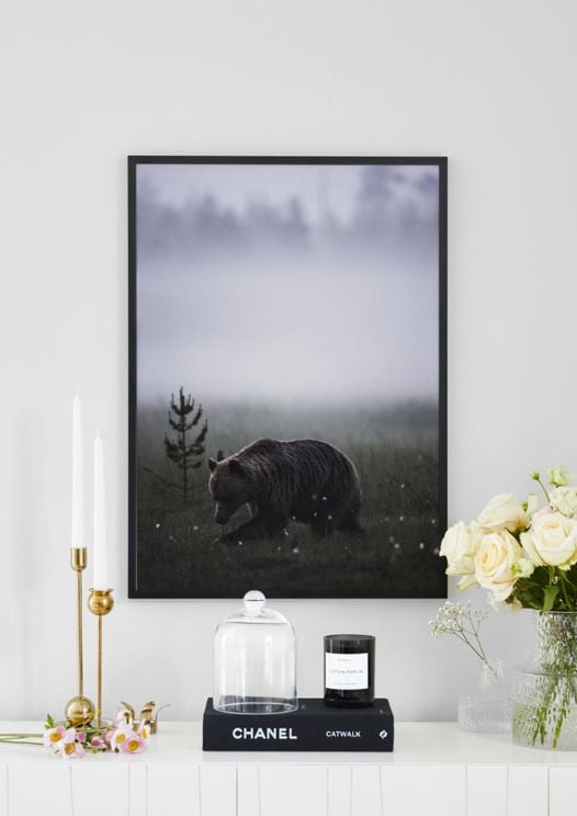 Bear