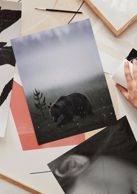 Bear