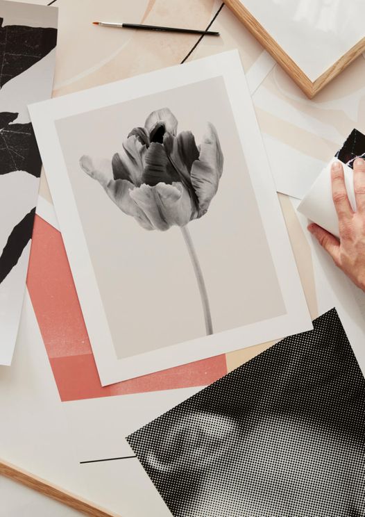 Beige Tulip 2