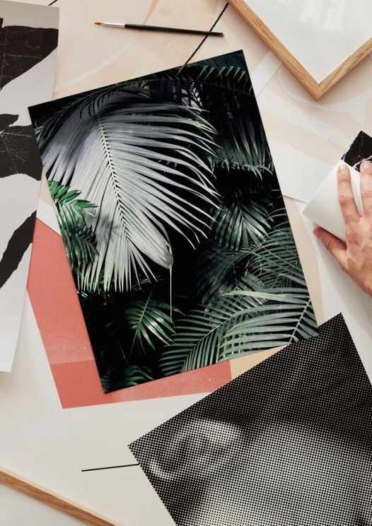 Big Palm Leaves