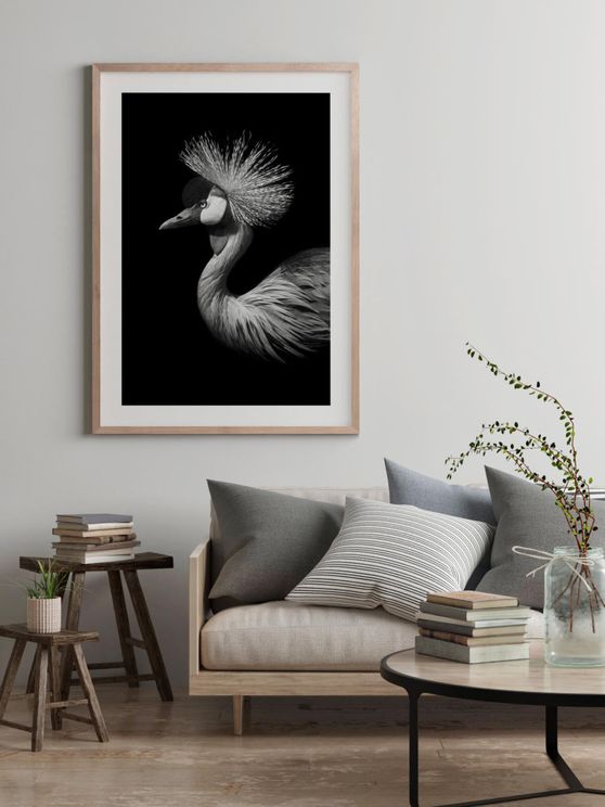 Black Crane