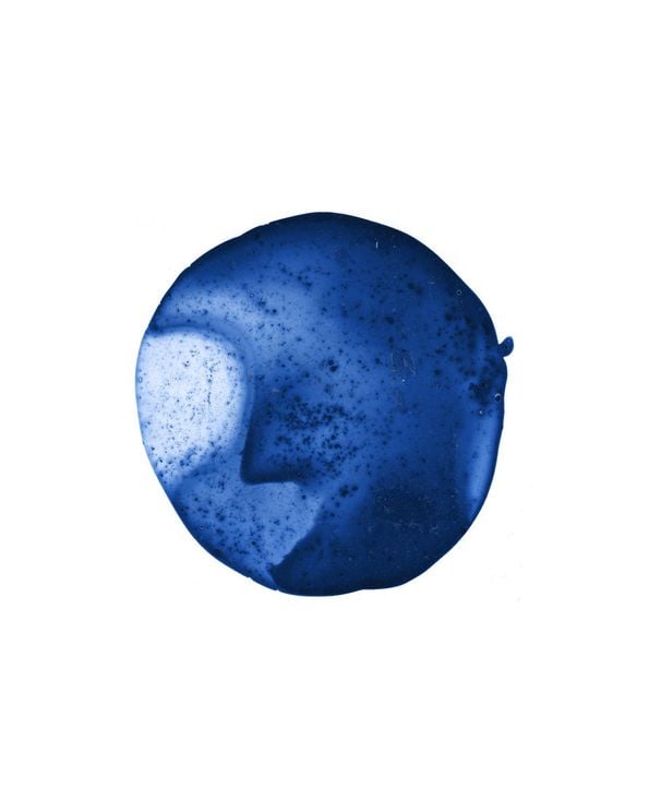 Blue Beetroot
