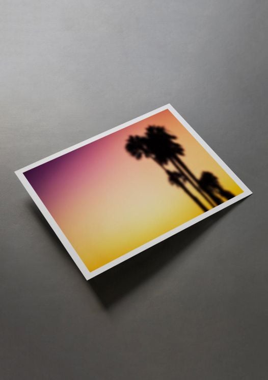 Blurry Palms