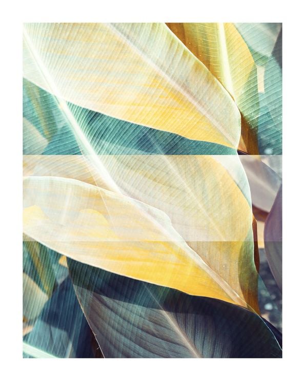 Bossa Nova
