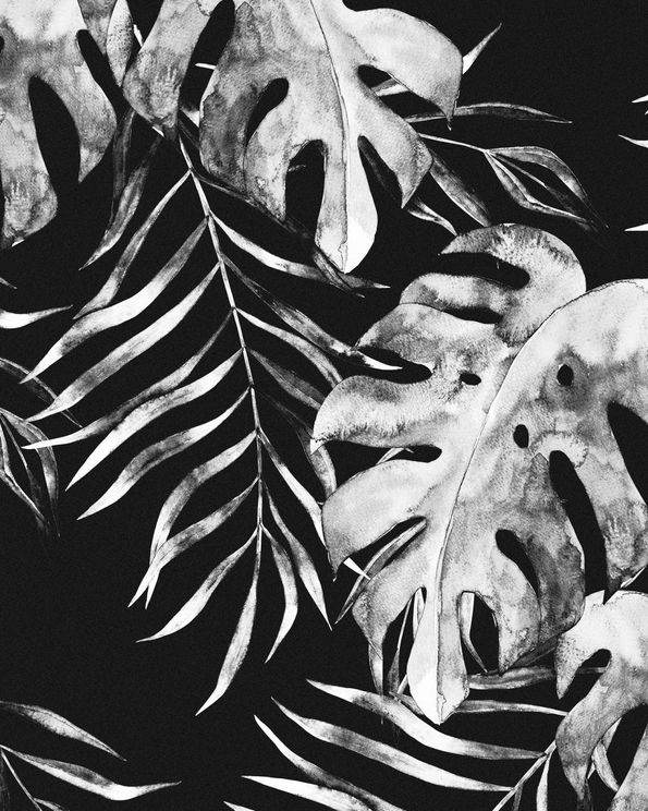 Botanical Night