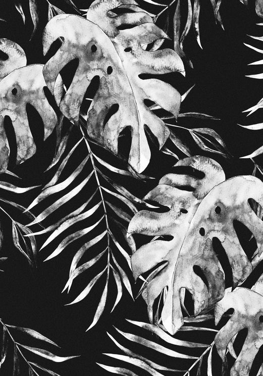 Botanical Night