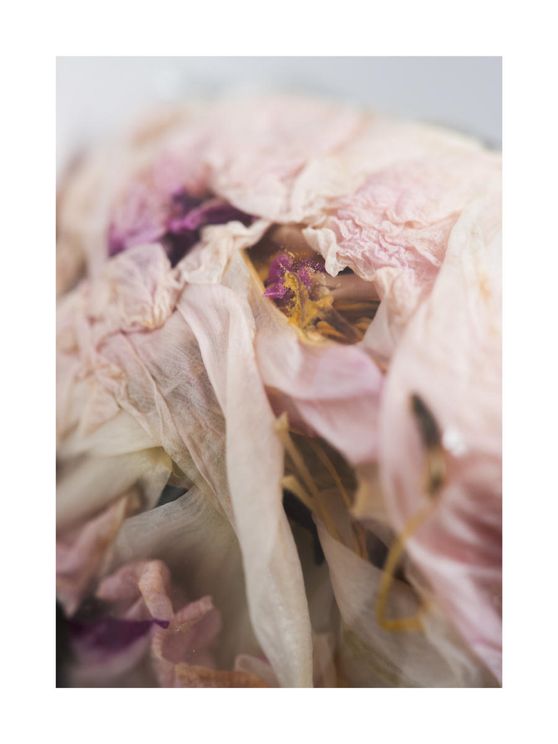 Bouquet 1