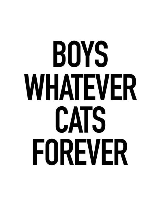 Boys And Cats