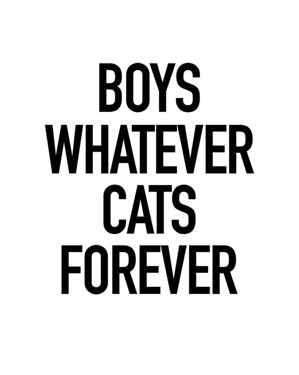 Boys And Cats