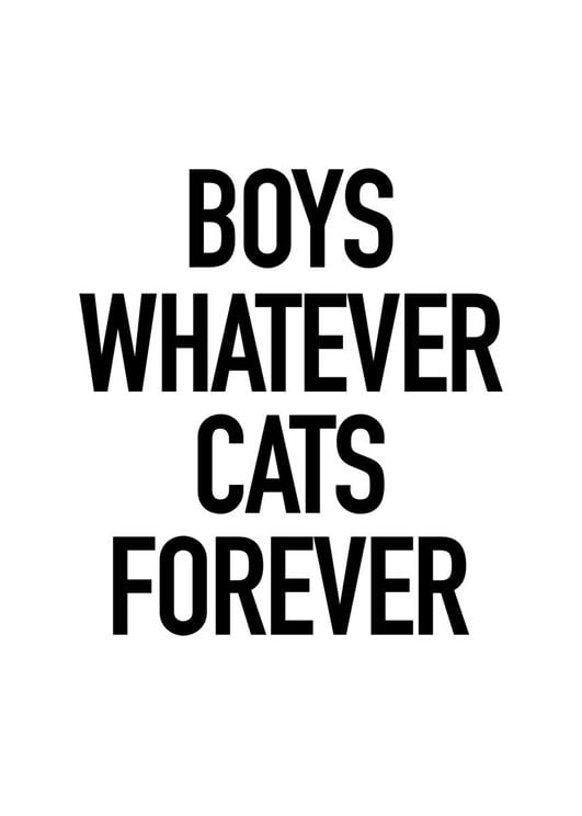 Boys And Cats