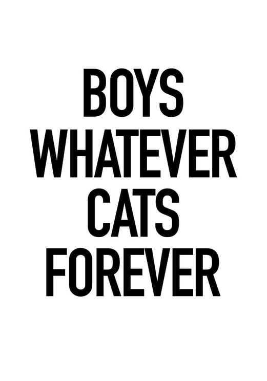 Boys And Cats