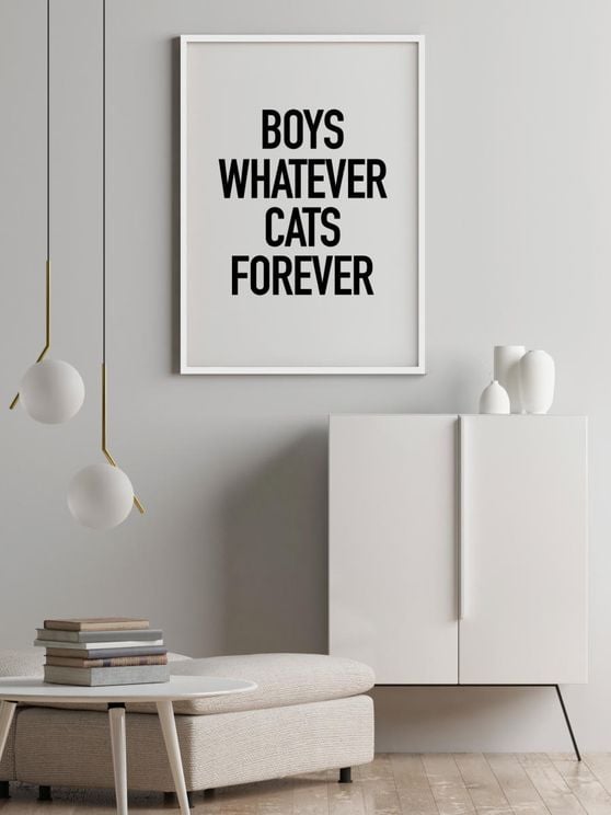 Boys And Cats
