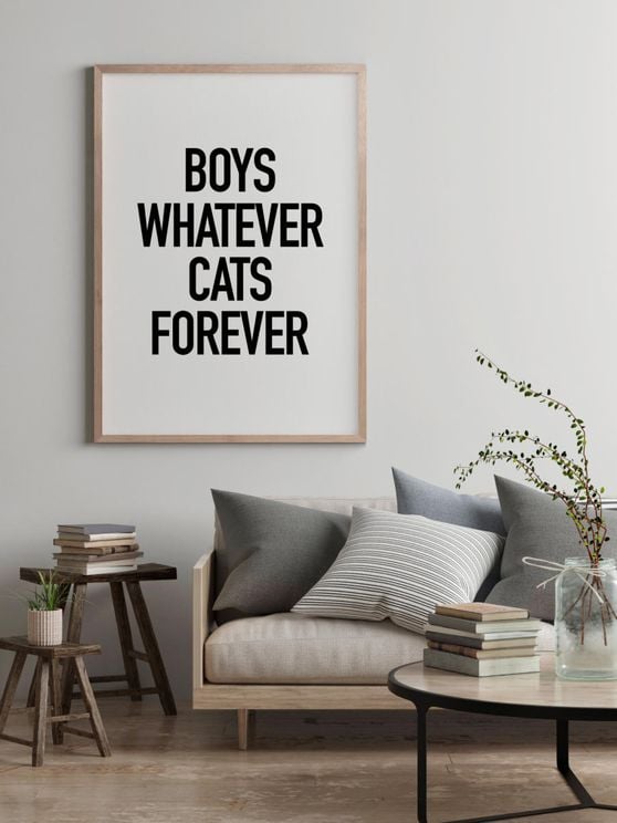 Boys And Cats