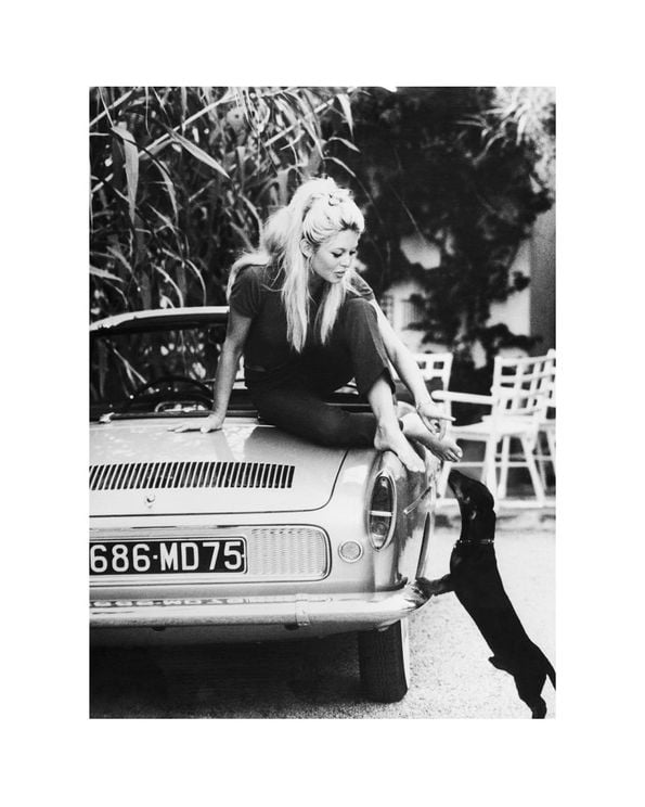 Brigitte Bardot
