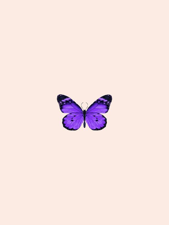 Butterfly Purple