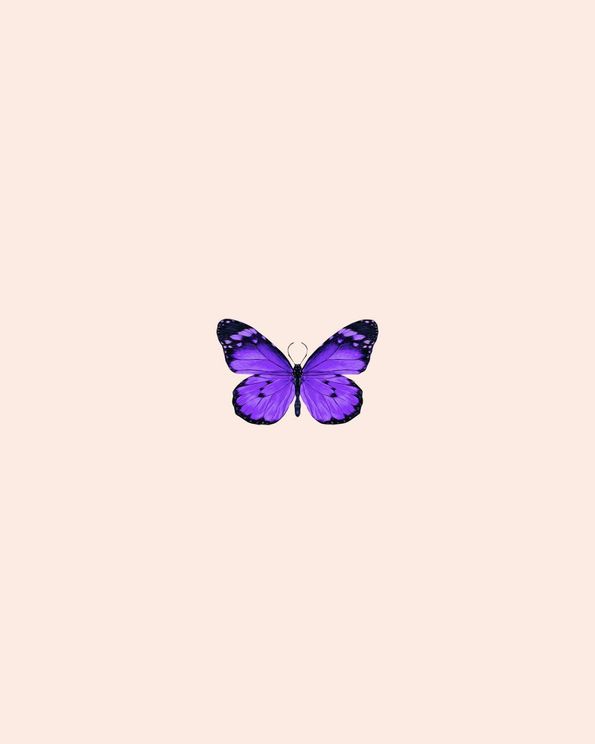 Butterfly Purple