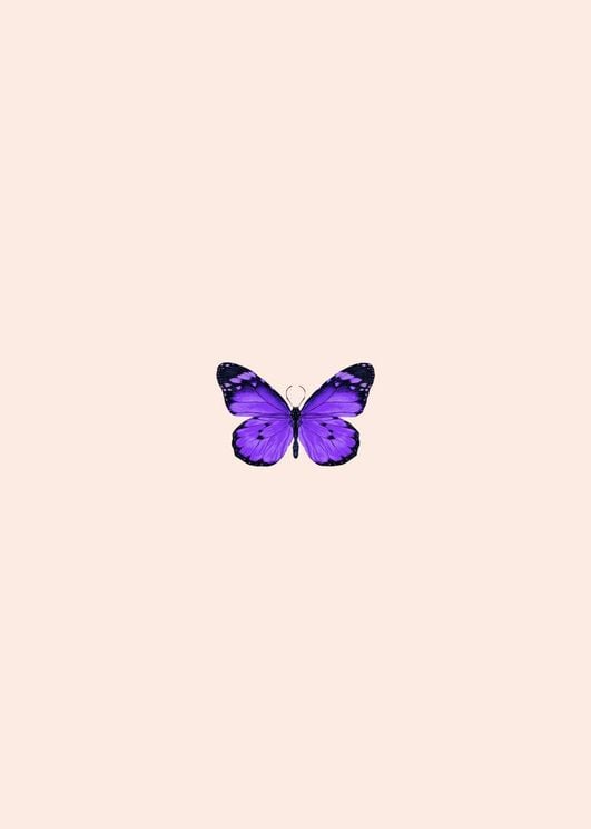 Butterfly Purple