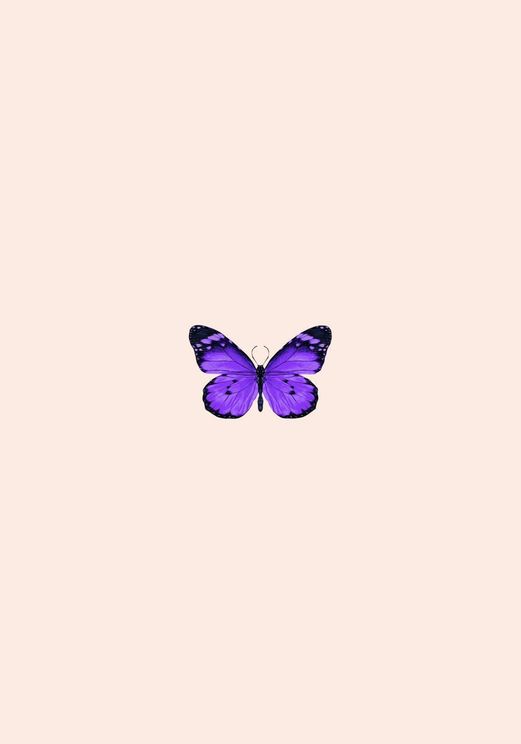 Butterfly Purple