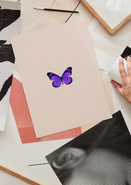 Butterfly Purple