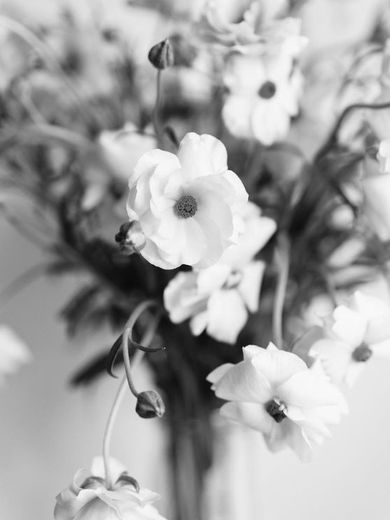 BW Bouquet