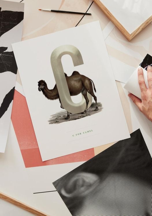 C For Camel